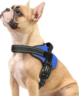 rabbitgoo Dog Harness Small Sized, No Pull No Choke Pet Vest, Easy Wearing with One Buckle, Reflective, Adjustable Pet Harness with Molle for Walking, Training, Blue, S