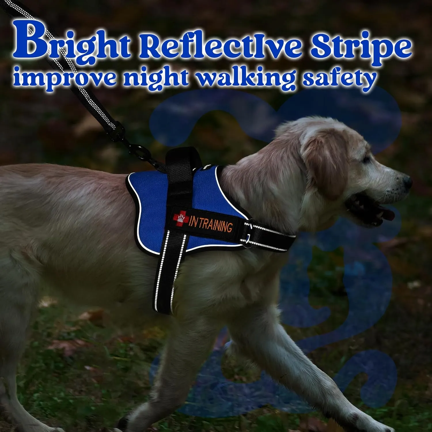 rabbitgoo Dog Harness Small Sized, No Pull No Choke Pet Vest, Easy Wearing with One Buckle, Reflective, Adjustable Pet Harness with Molle for Walking, Training, Blue, S