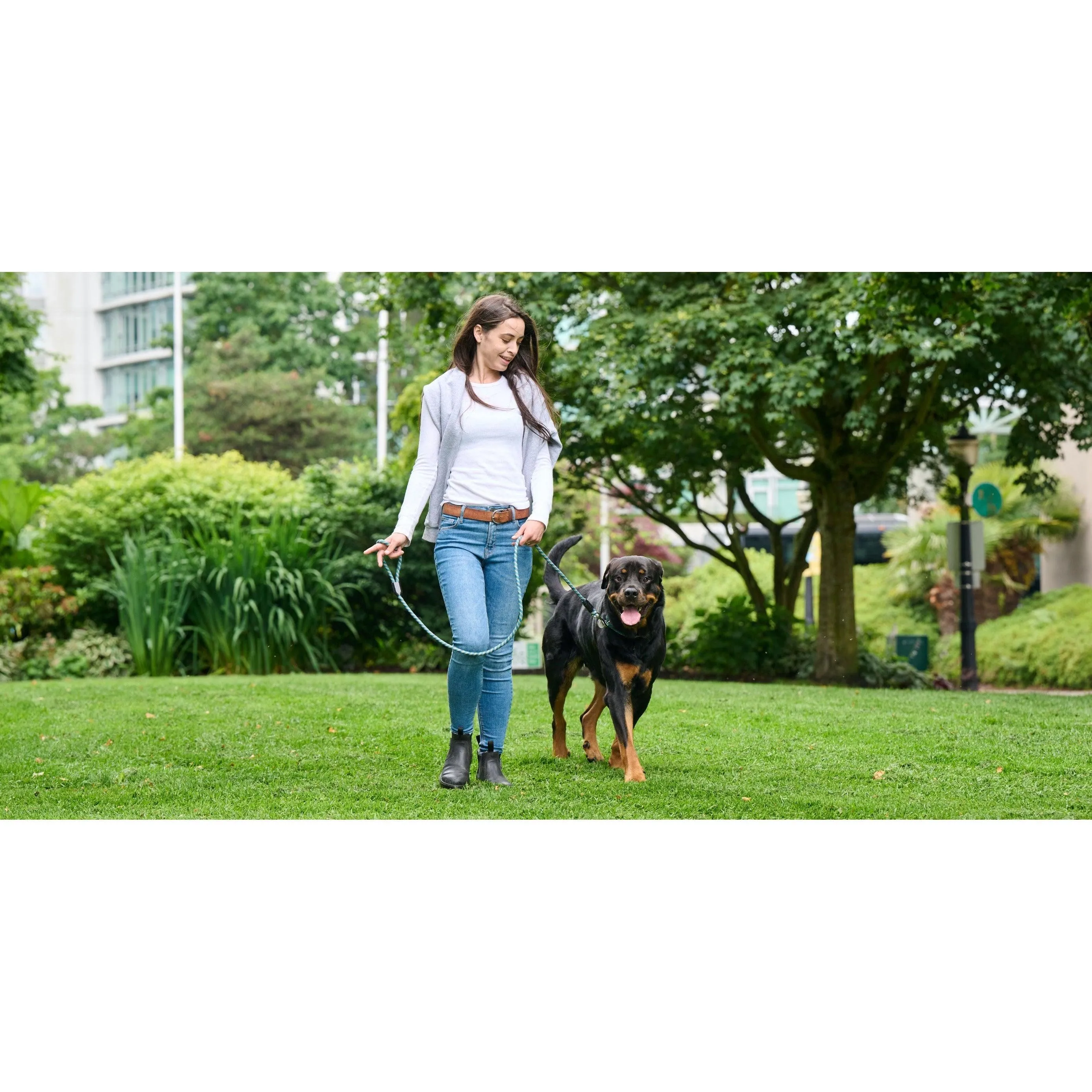 RC Dog Rope Leash Dark Teal