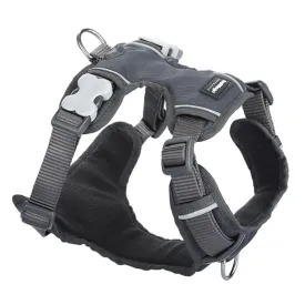 Red Dingo Padded Charcoal Dog Harness (5 Sizes)