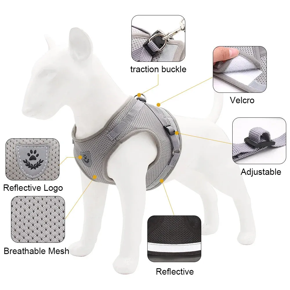 Reflective Dog Vest Harness and Leash Set: Comfortable and Safe Summer Walks for Small Dogs, Cats, and Puppies - Ideal for Chihuahuas and More