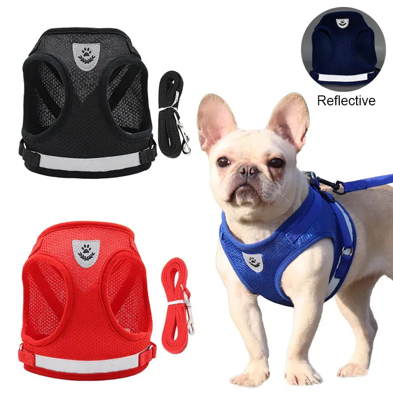 Reflective Dog Vest Harness and Leash Set: Comfortable and Safe Summer Walks for Small Dogs, Cats, and Puppies - Ideal for Chihuahuas and More