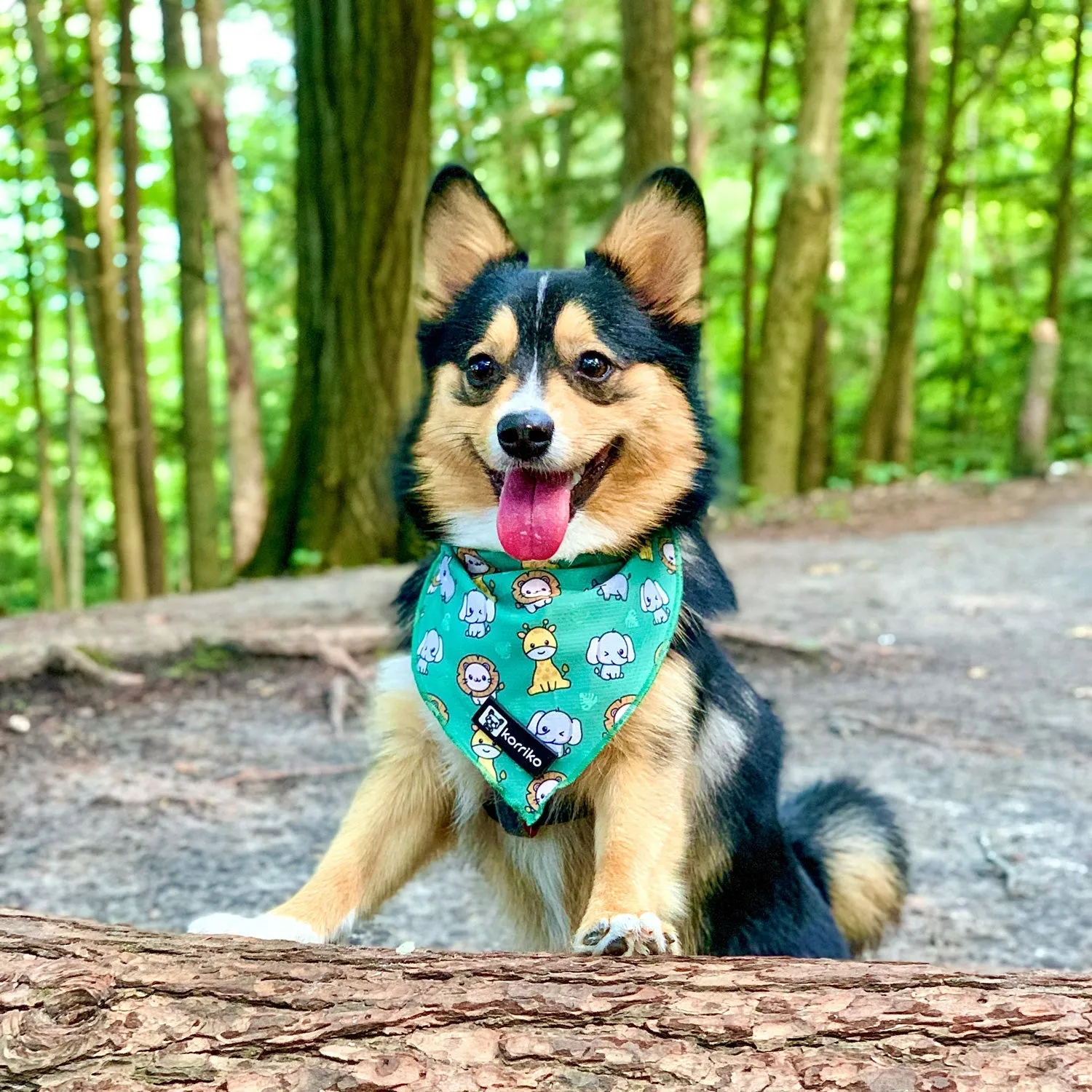 safari cooling bandana
