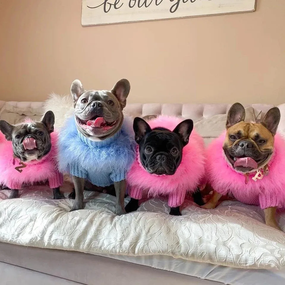 Small Dog Luxury Dog Sweater Dog Winter Clothes Knitted Fur Pet Clothes Warmth French Bulldog Pug Bichon Dog Sweater Ropa Perro