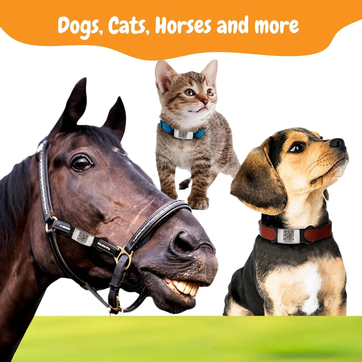 Smart Slide-On QR Code Pet Tag  Silent Dog & Cat ID Tag with Laser Engraving  Stainless Steel & Silicone  No App Needed  Custom Pet Profile  Fits Most Collars (Black, Extra Large)