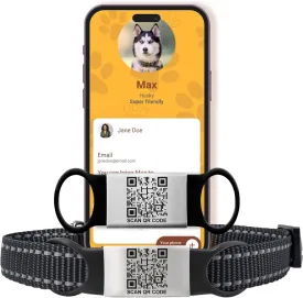 Smart Slide-On QR Code Pet Tag  Silent Dog & Cat ID Tag with Laser Engraving  Stainless Steel & Silicone  No App Needed  Custom Pet Profile  Fits Most Collars (Black, Extra Large)