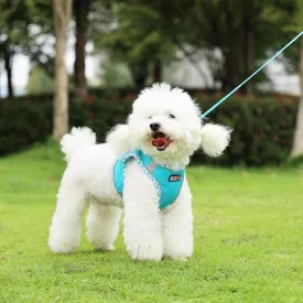 Step-in Checkered Pet Harness with a Free 59 inch Leash Included - Breathable Air Mesh for Dogs & Cats, Safe Vest Built with Reflective Straps, Buckle & Double Metal Rings, Ocean Blue, M
