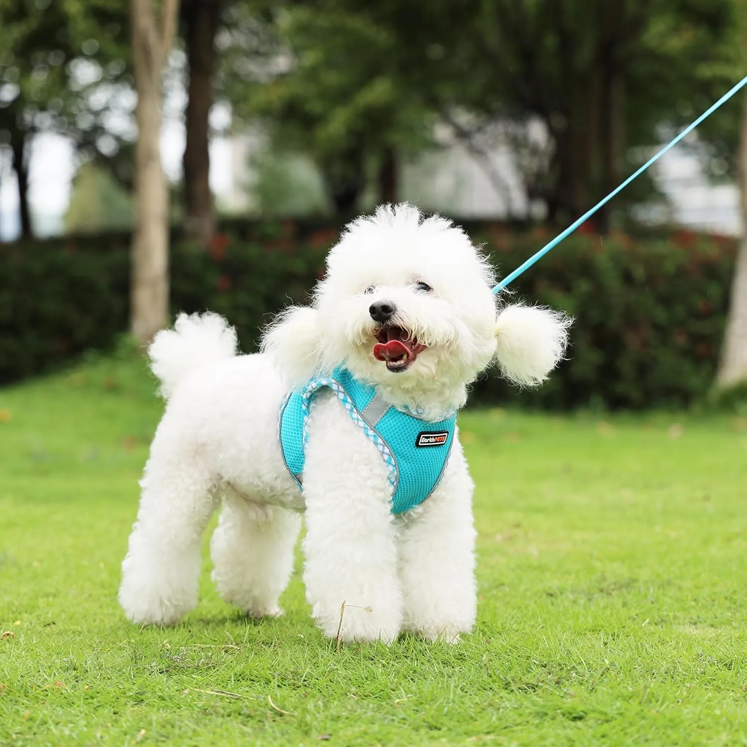 Step-in Checkered Pet Harness with a Free 59 inch Leash Included - Breathable Air Mesh for Dogs & Cats, Safe Vest Built with Reflective Straps, Buckle & Double Metal Rings, Ocean Blue, M