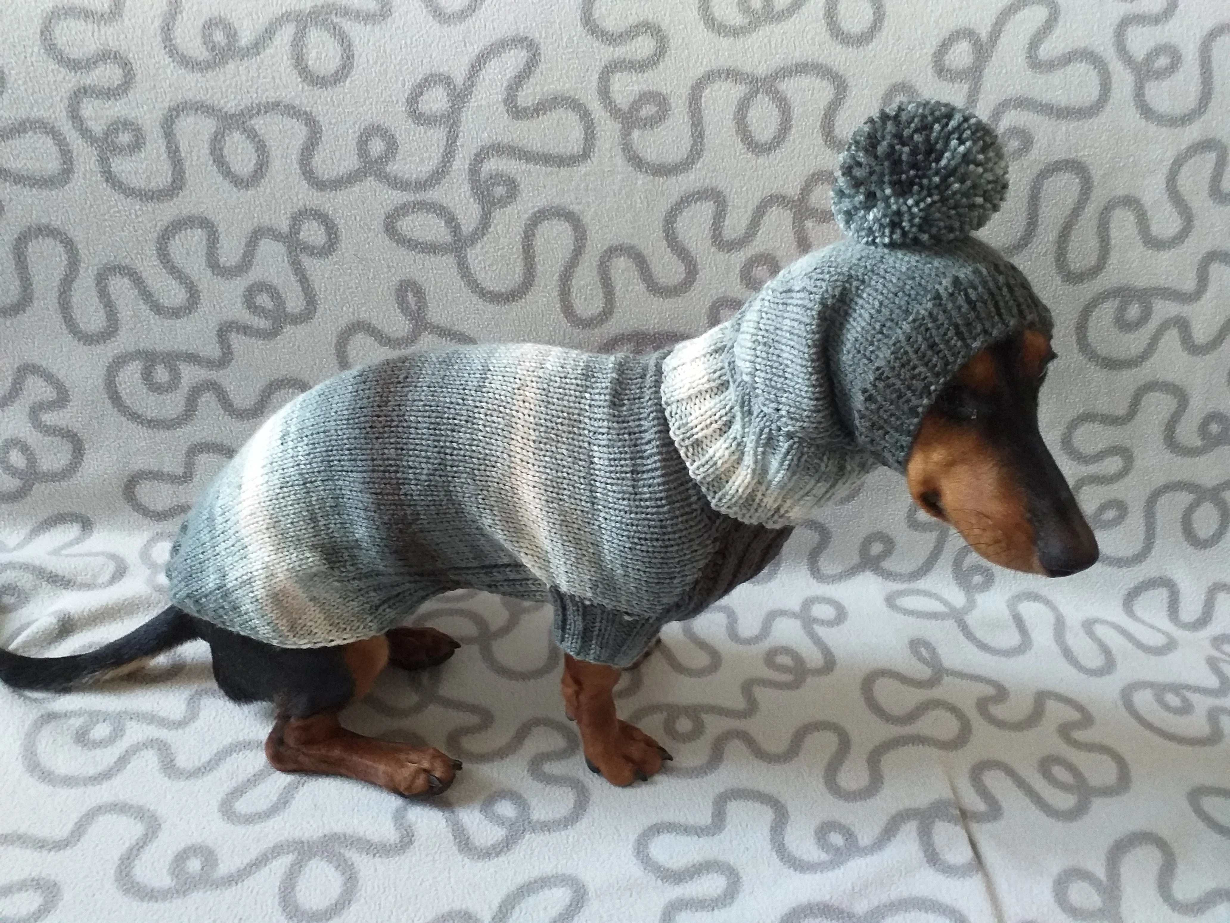 Suit for mini dachshund sweater and hat,knitted suit sweater and hat for dachshund or small dog, suit set sweater and hat for dog