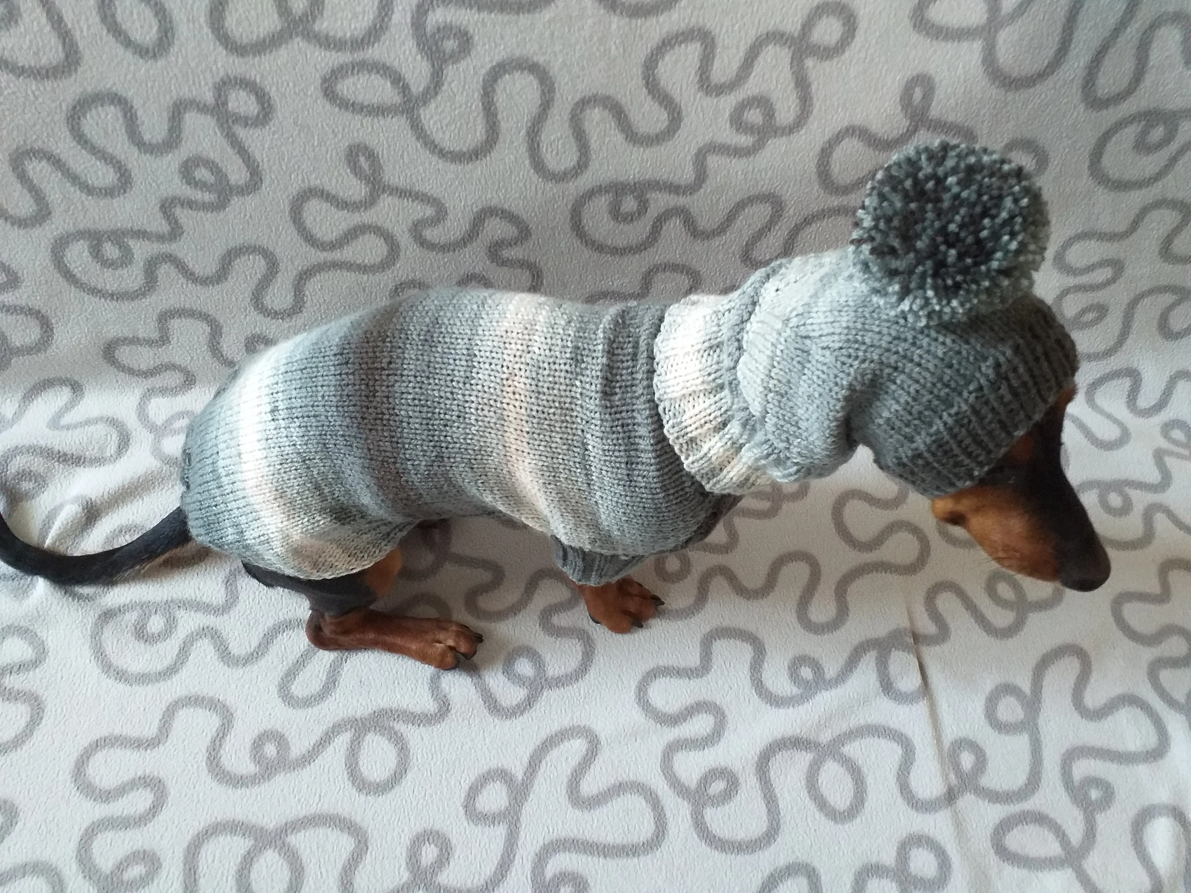 Suit for mini dachshund sweater and hat,knitted suit sweater and hat for dachshund or small dog, suit set sweater and hat for dog