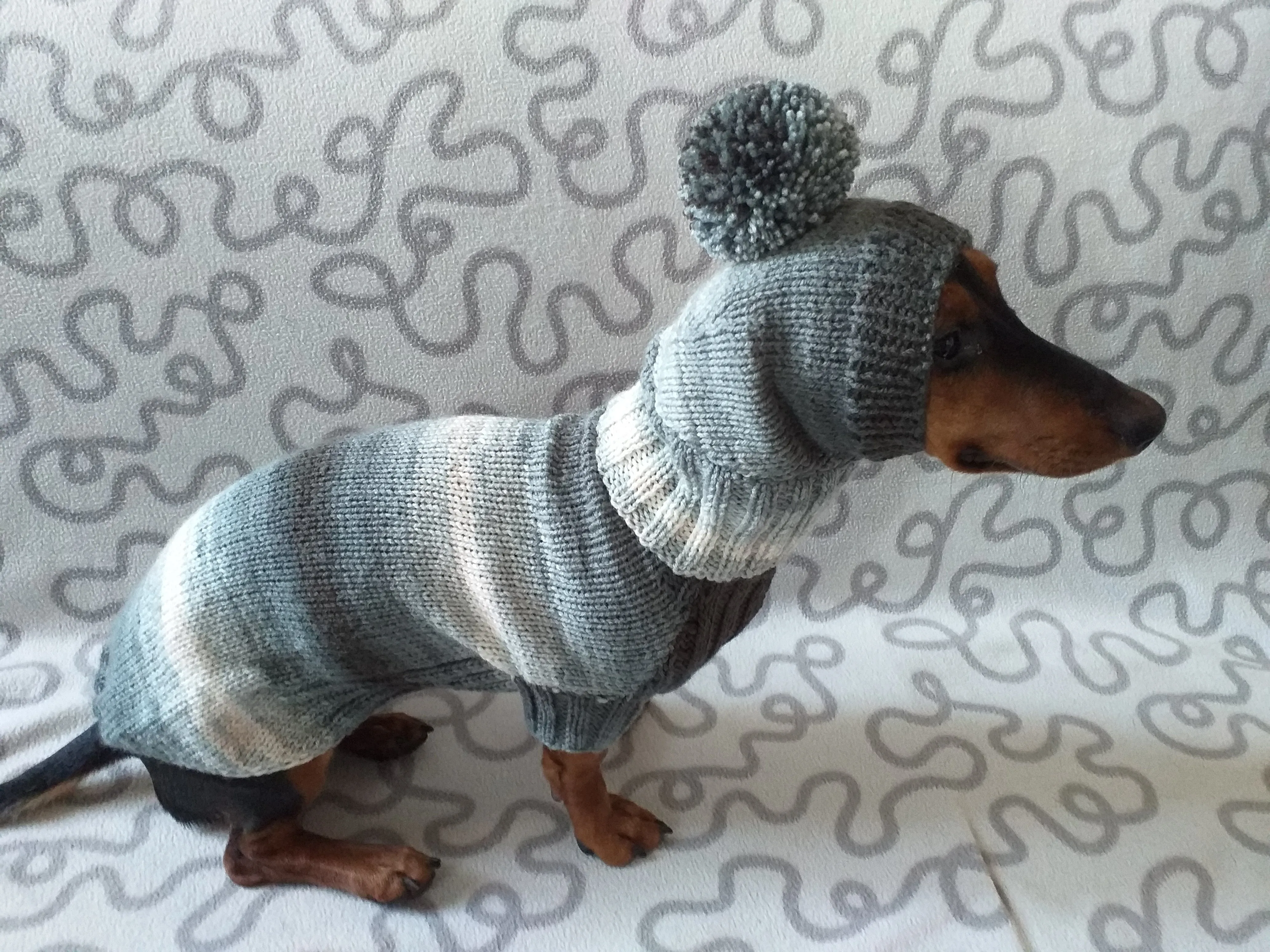 Suit for mini dachshund sweater and hat,knitted suit sweater and hat for dachshund or small dog, suit set sweater and hat for dog