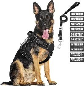Tactical Dog Harness and Leash Set for Large Dogs,Heavy Duty No Pull Service Dog Vest and 10 Patches with Dog Seat Belt,Reflective Adjustable Pet Harness for Training Walking Hiking Black XL