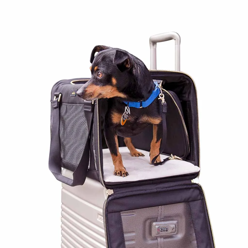 The Pet Carrier