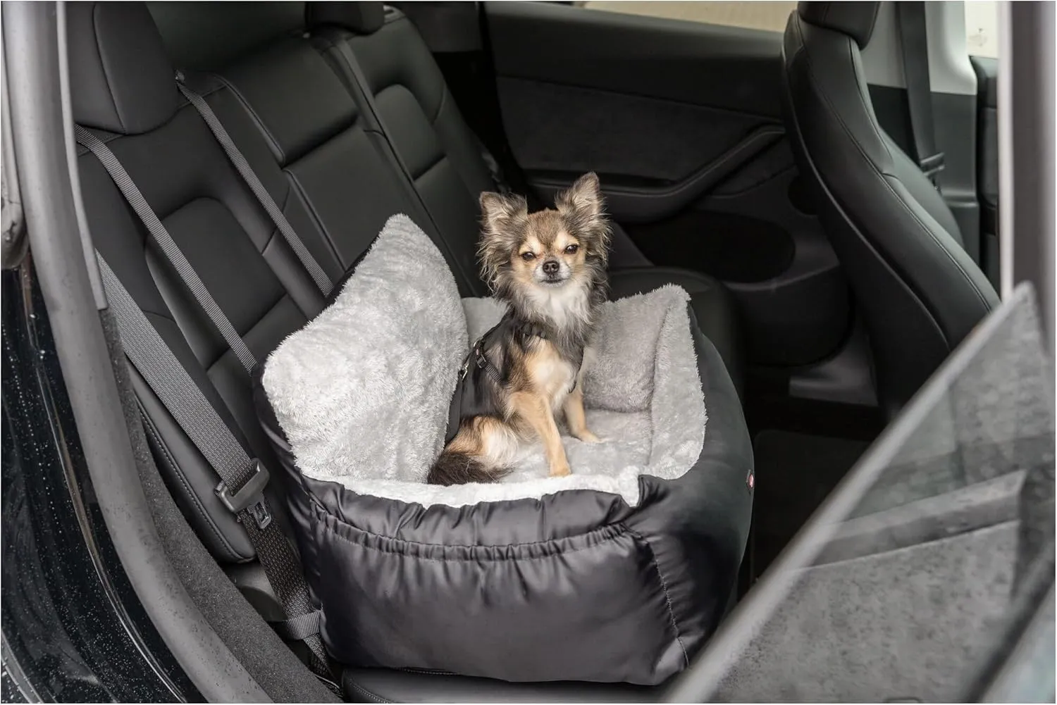 TRIXIE Convertible Lite Dog Car Seat for Small Dogs, Dog Booster Seat, Travel Pet Bed, Ideal for Small Dogs and Cats