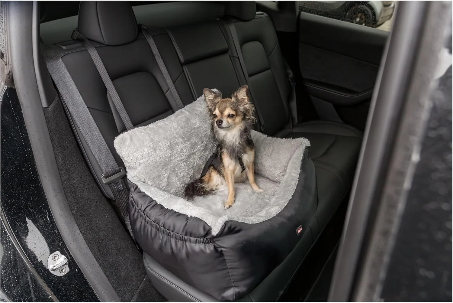 TRIXIE Convertible Lite Dog Car Seat for Small Dogs, Dog Booster Seat, Travel Pet Bed, Ideal for Small Dogs and Cats
