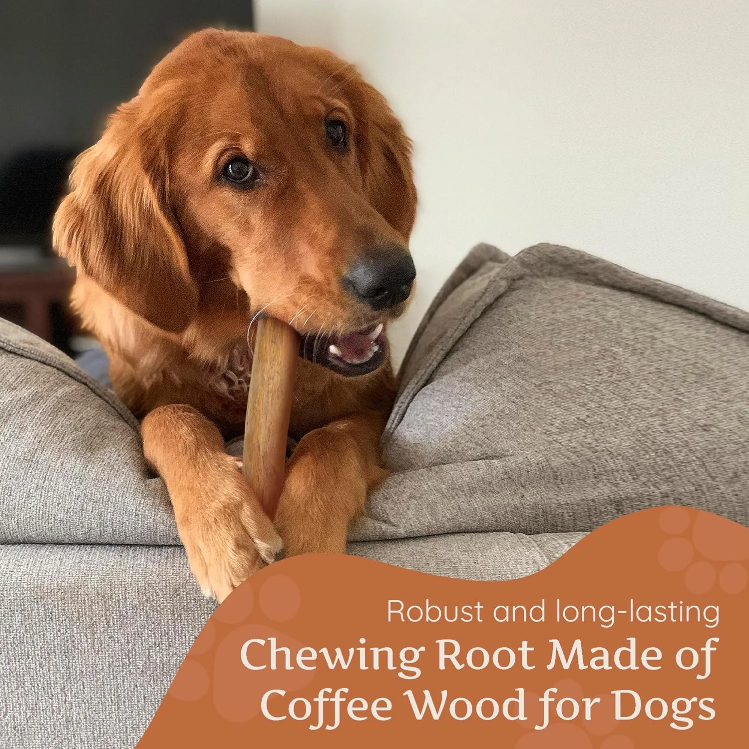 WildfangCoffee Wood Dog Chew Large - Natural Chewing Stick for Dogs, Chewing Bone for Dogs Muscle Training Wood Chews (Size L)