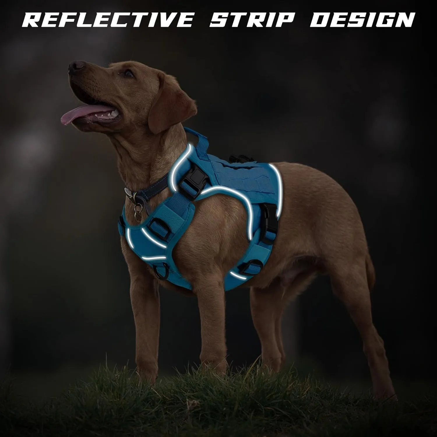 WINGOIN Blue Tactical Dog Harness for Large Dogs No Pull Adjustable Pet Harness with Handle Reflective K9 Military Service Dog Vest for Walking Hiking Training (XL)