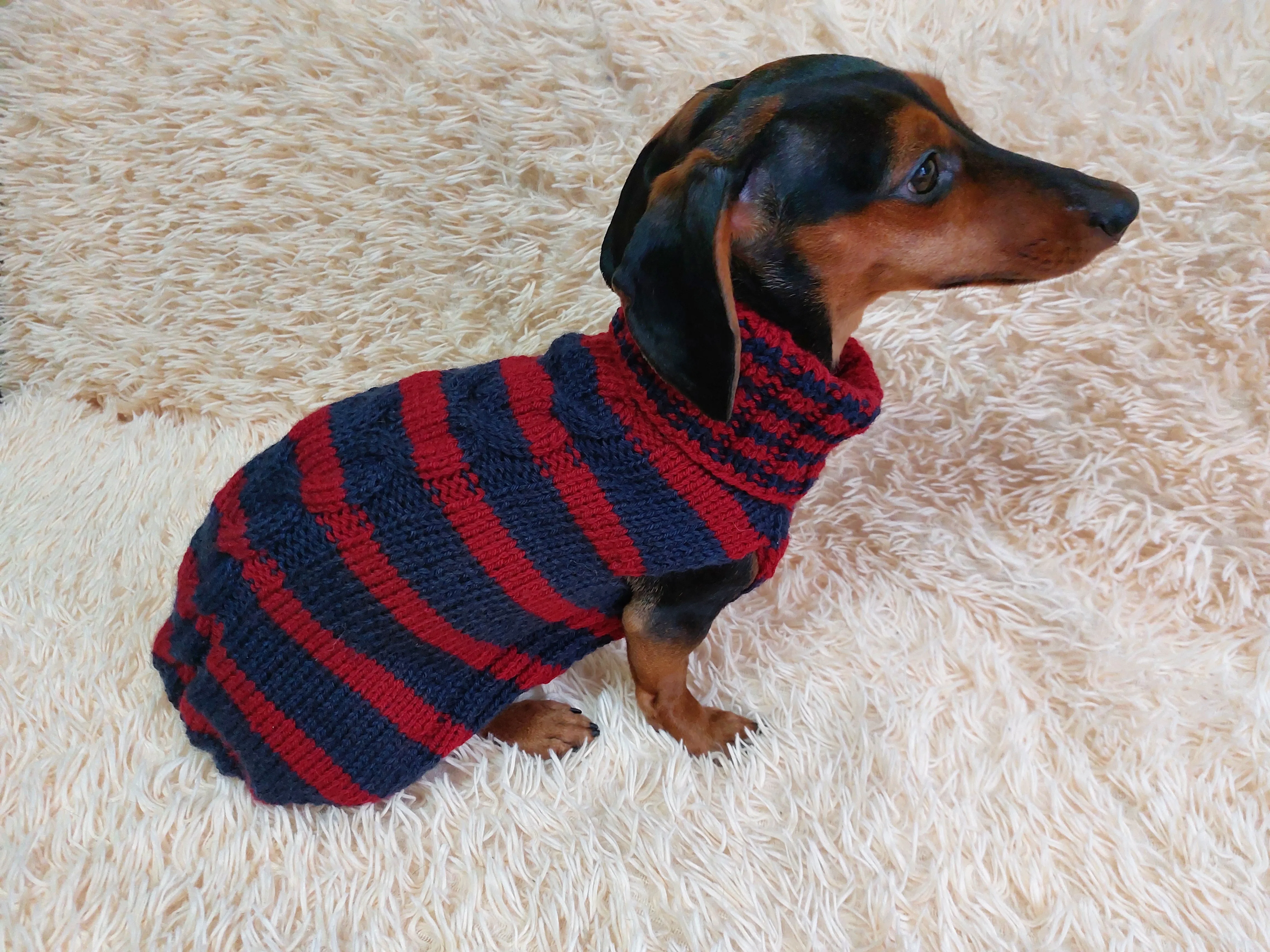 Wool winter striped pet jumper, dog sweater, dog clothes, dachshund warm vest