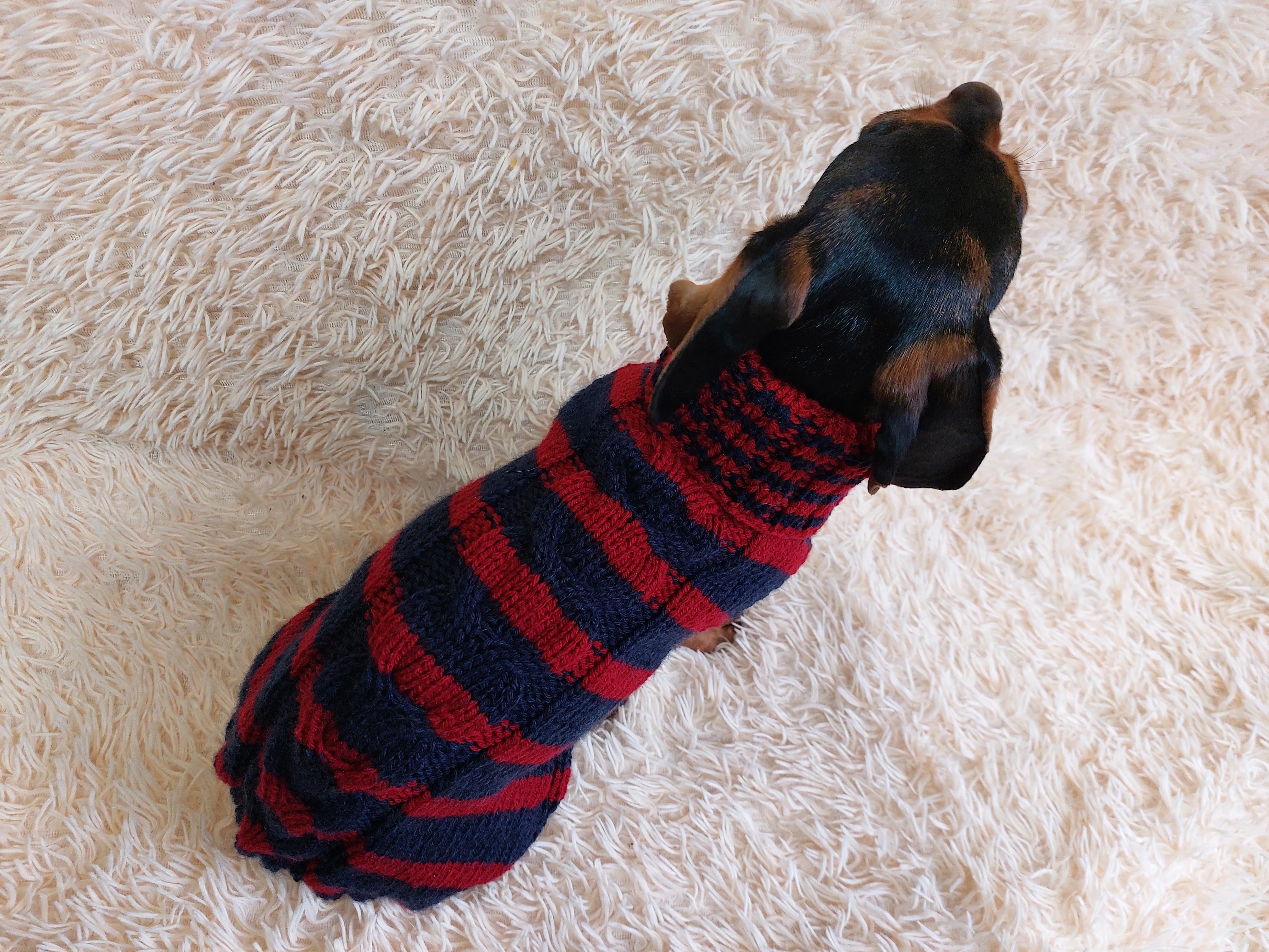 Wool winter striped pet jumper, dog sweater, dog clothes, dachshund warm vest