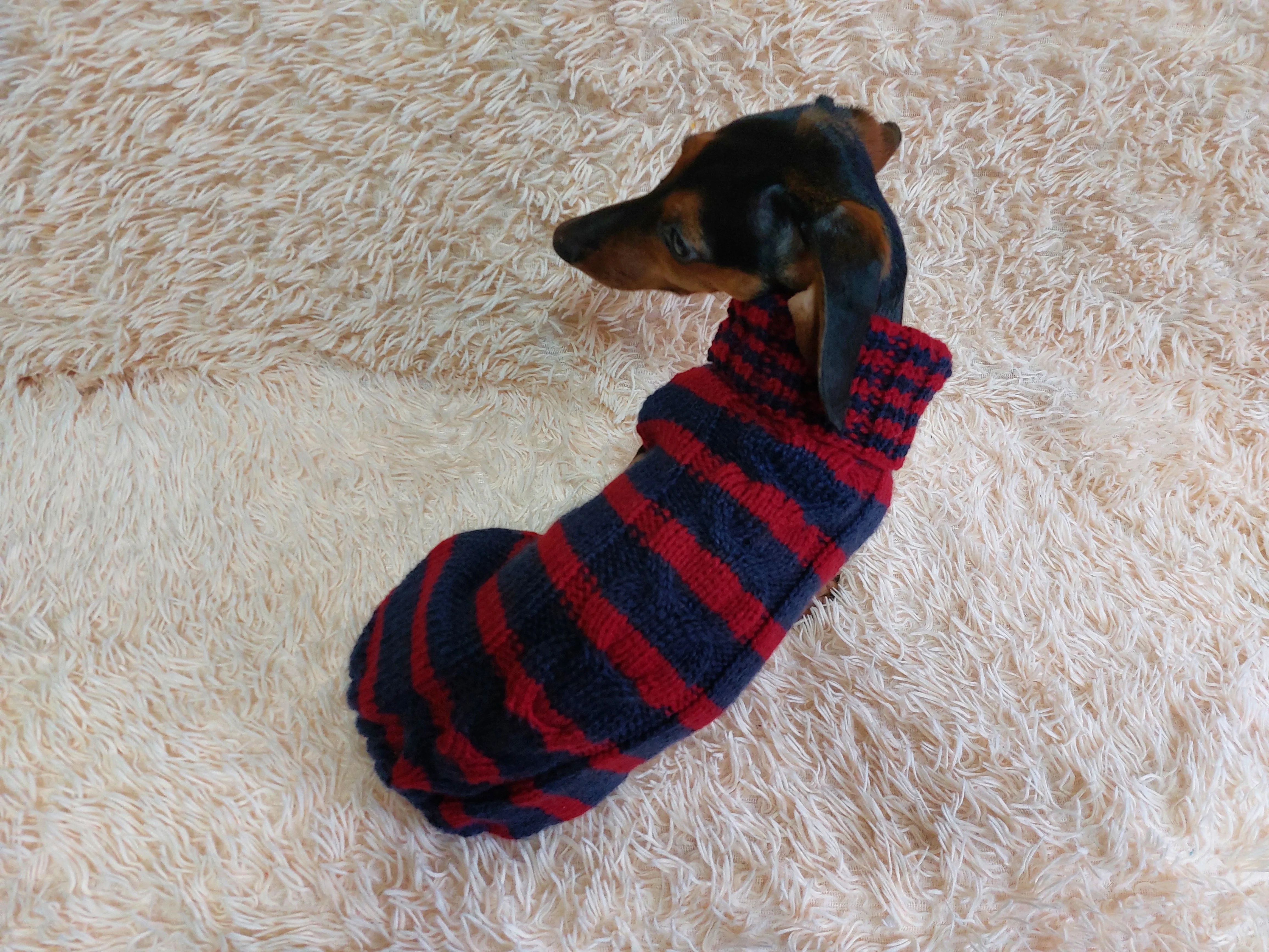 Wool winter striped pet jumper, dog sweater, dog clothes, dachshund warm vest